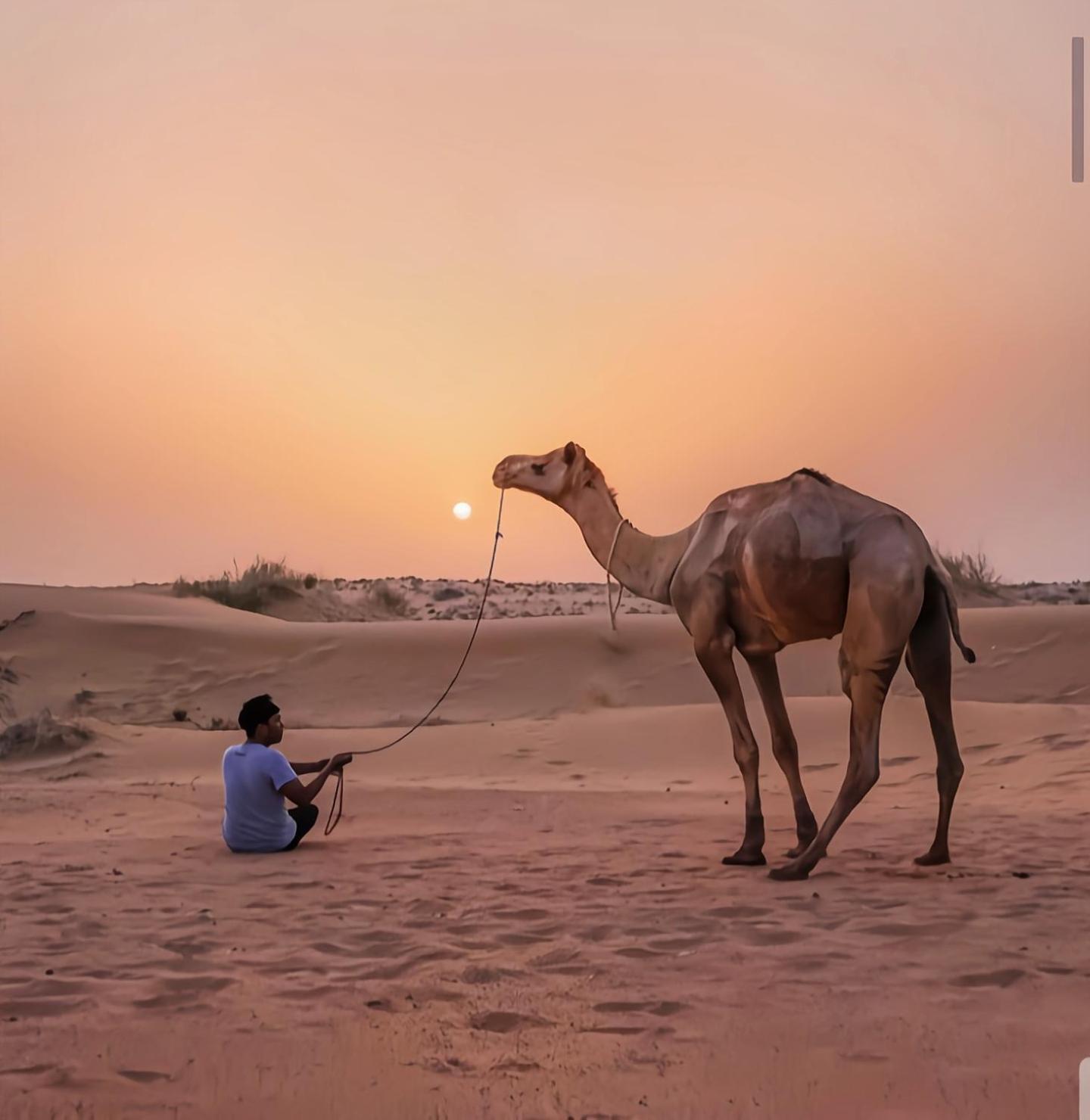 The Saffron Desert Camp Jaisalmer Luaran gambar